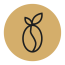 cropped-BC-LOGO-09